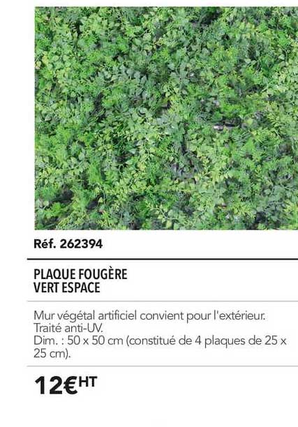 Plaque Fougère Vert Espace