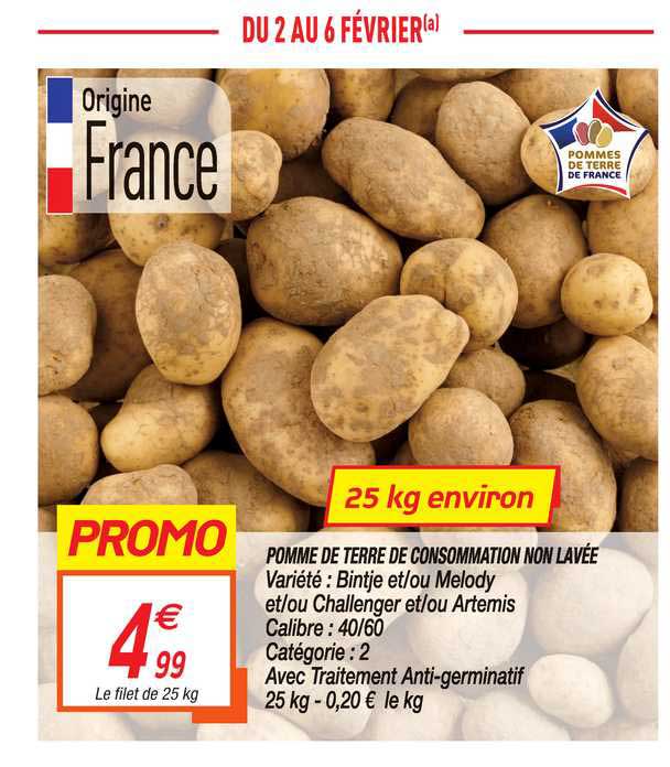 pomme de terre de consommation non lavée