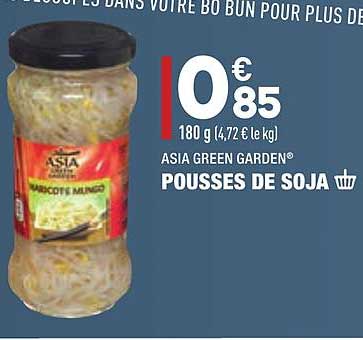 pousses de soja asia green garden