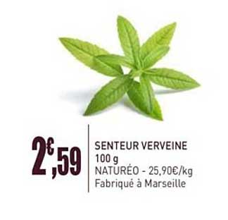 senteur verveine