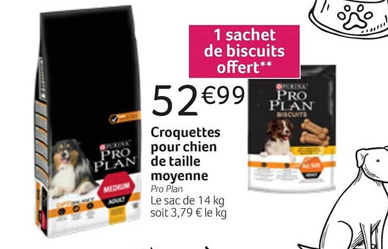 Croquettes Pour Chien De Taille Moyenne