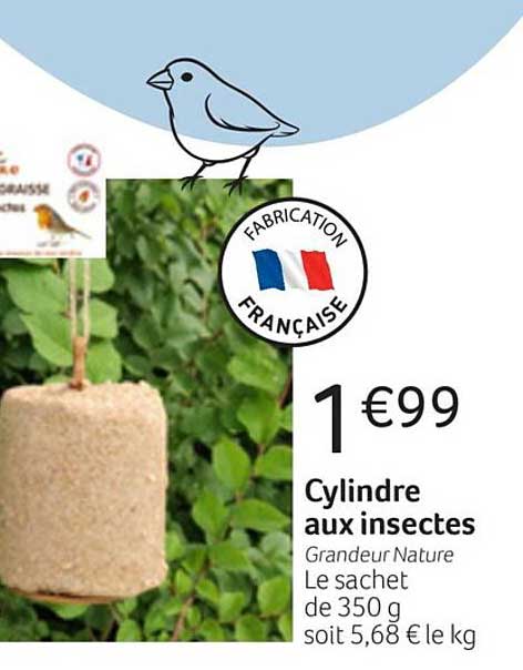 cylindre aux insectes grandeur nature