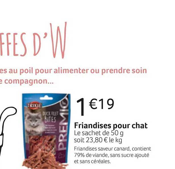 Friandises Pour Chat