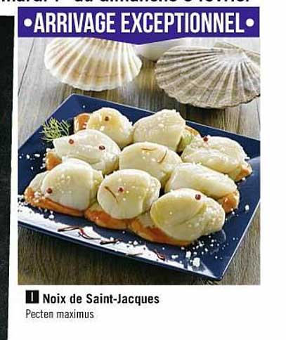 noix de saint-jacques