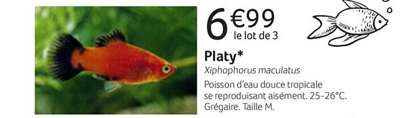 platy