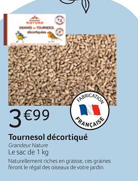 tournesol décortiqué grandeur nature