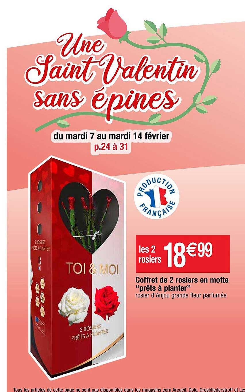 coffret de 2 rosiers en motte "prêts à planter"
