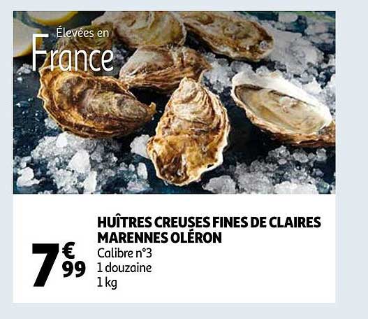 huîtres creuses fines de claires marennes oléron