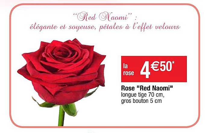rose "red naomi"