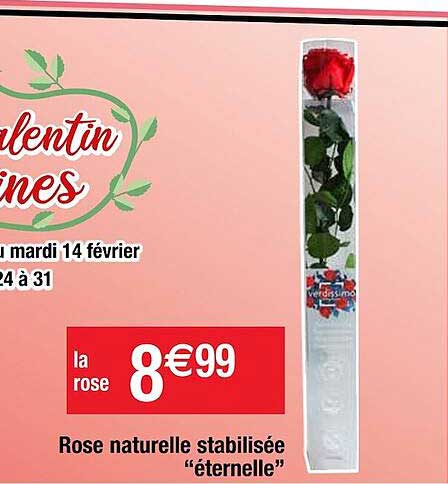 rose naturelle stabilisée éternelle