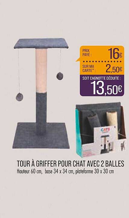 Tour à Griffer Pour Chat Avec 2 Balles