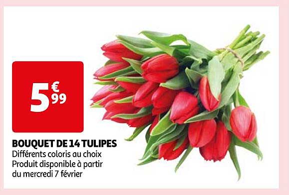 Bouquet De 14 Tulipes