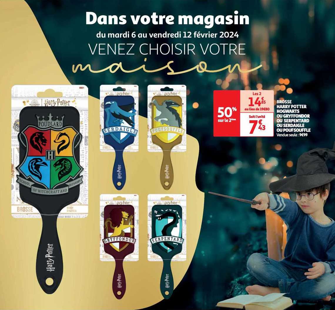 brosse harry potter hogwarts ou gryffondor ou serpentard ou serdaigle ou pouf soufflé