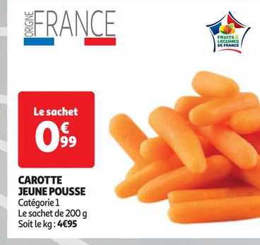 Carotte Jeune Pousse