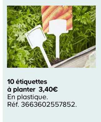 10 étiquettes à planter