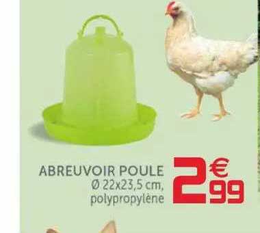 Abreuvoir Poule