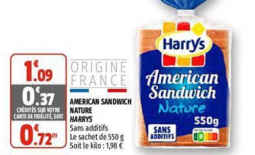 american sandwich nature harrys