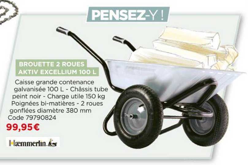 brouette 2 roues aktiv excellium 100 l