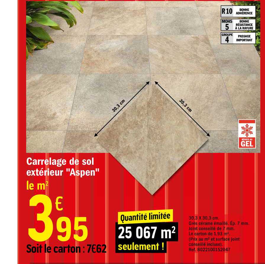 carrelage de sol extérieur "aspen"