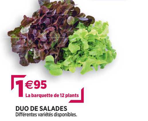 Duo De Salades
