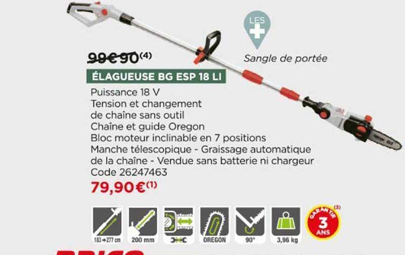 élagueuse bg esp 18 li