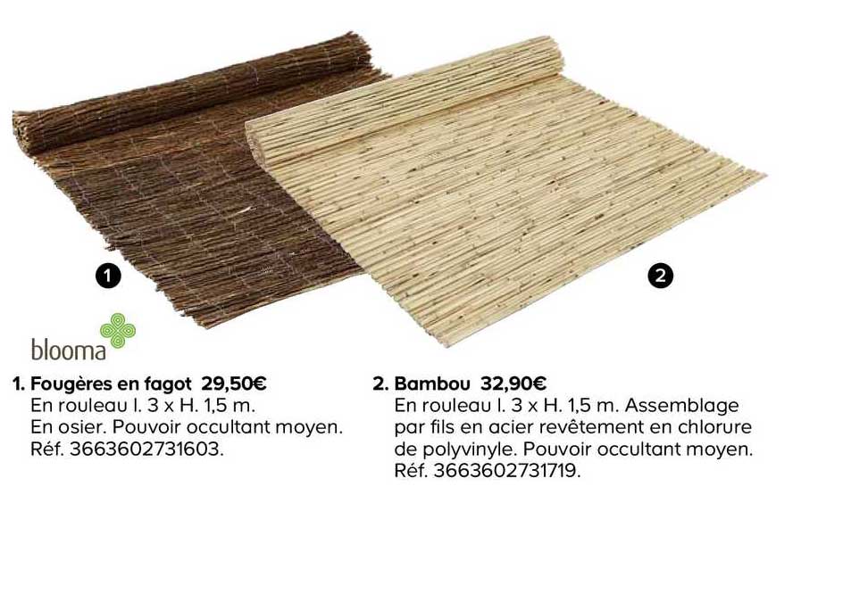 fougère en fagot bambou blooma