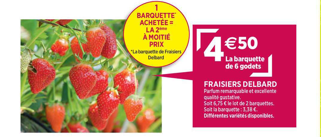 fraisier delbard