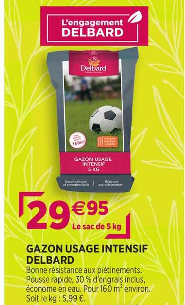 gazon usage intensif delbard