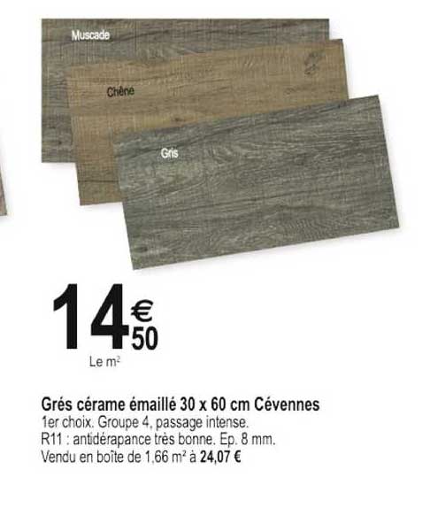 grés cérame émaillé 30 x 60 cm cévennes