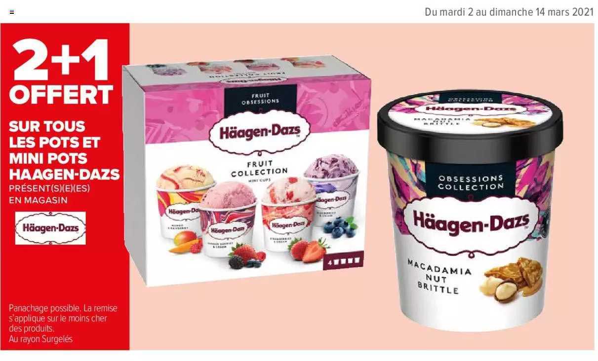les pots et mini pots häagen-dazs
