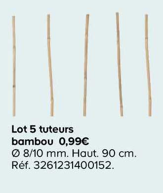 lot 5 tuteurs bambou