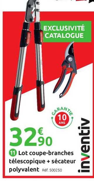 Lot Coupe-branches Télescopique + Sécateur Polyvalent Inventiv