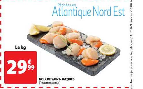 noix de saint-jacques