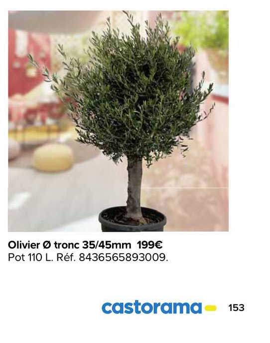 olivier tronc 35 45mm