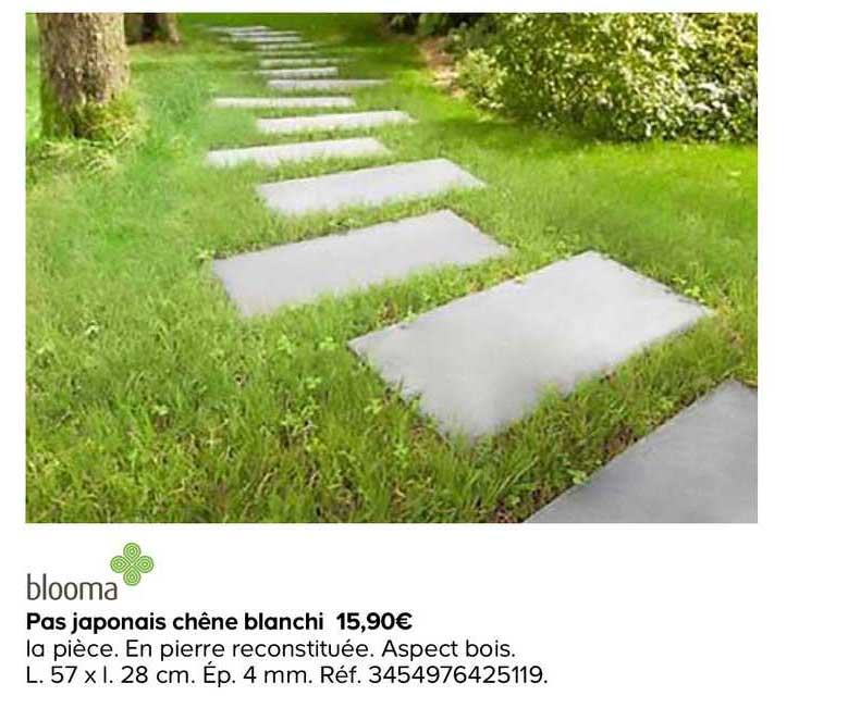 pas japonais chêne blanchi blooma