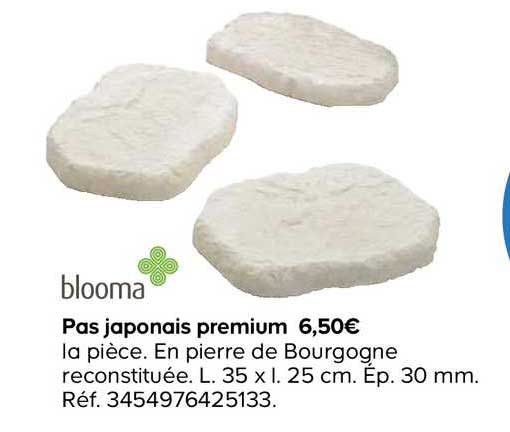 pas japonais premium blooma