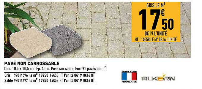 pavé non carrossable