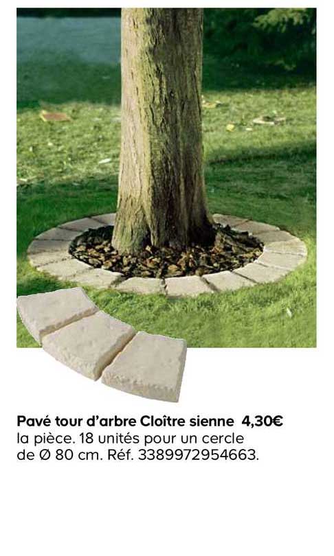 pavé tour d'arbre cloître sienne