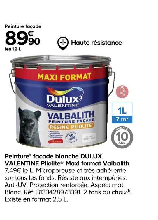 peinture façade blanche dulux valentine pliolite maxi format valalith