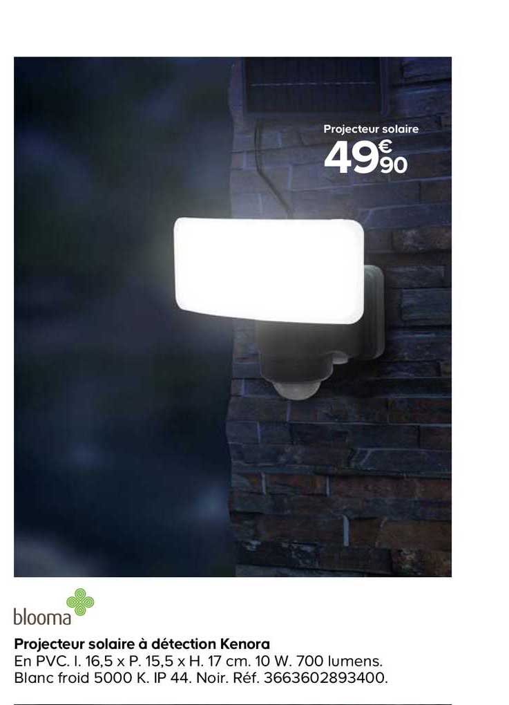 projecteur solaire à détection kerona blooma