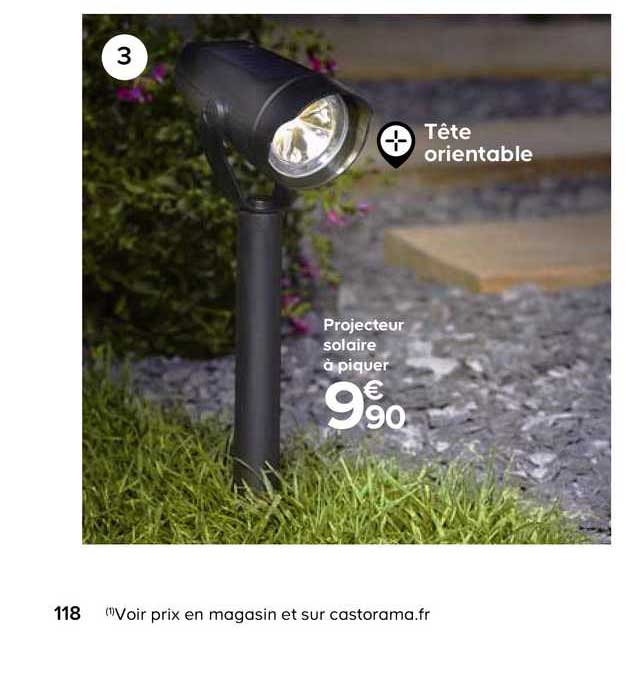 Projecteur Solaire à Piquer