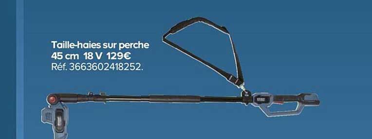 taille-haies sur perche 45 cm 18 v