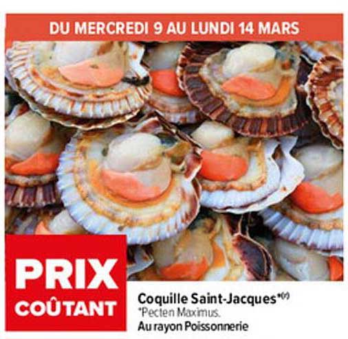 coquille saint-jacques