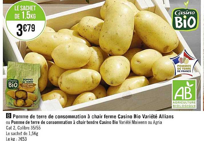 pomme de terre de consommation à chair ferme casino bio variété allians ou pomme de terre de consommation à chair tendre casino bio