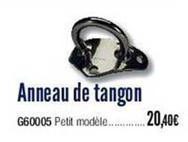 Anneau De Tangon