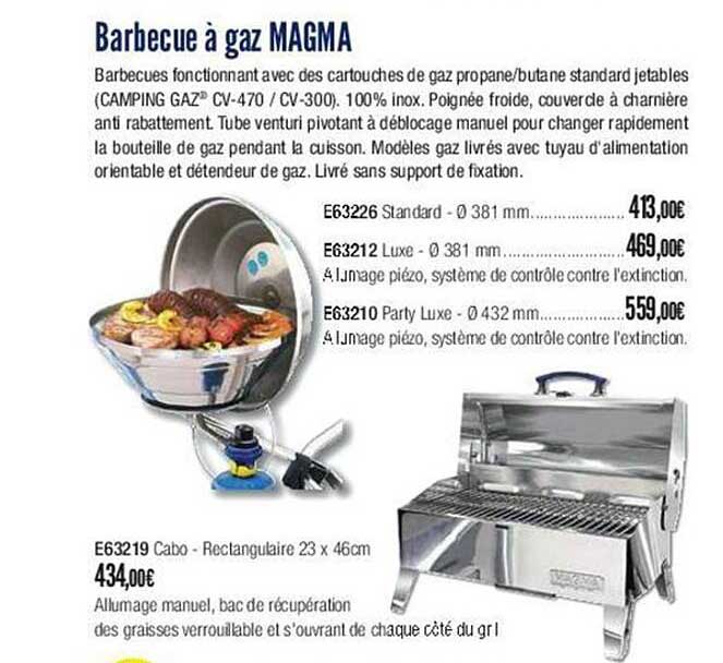 barbecue à gaz magma