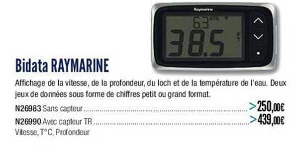 bidata raymarine