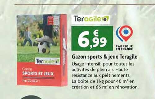 gazon sports & jeux teragile