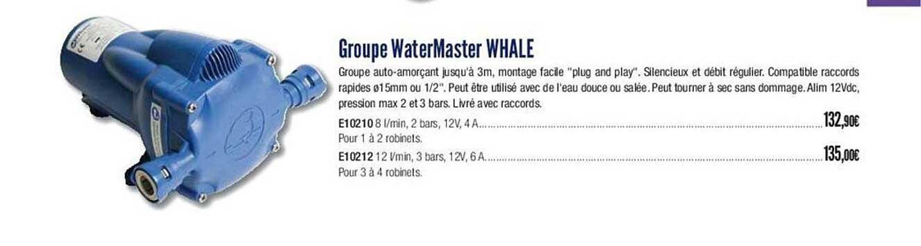 groupe waterMaster whale