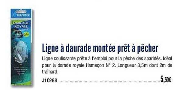 ligne à daurade montée prêt à pêcher